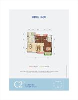 C2