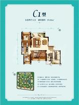 环球汇天誉1期C1户型