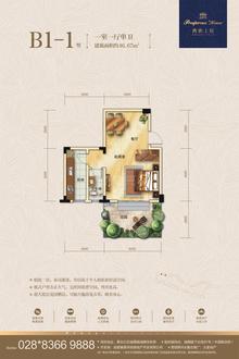 西街上院1室1厅1卫45.70平户型