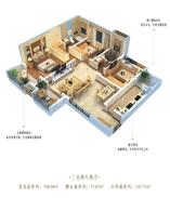 11区D1户型图