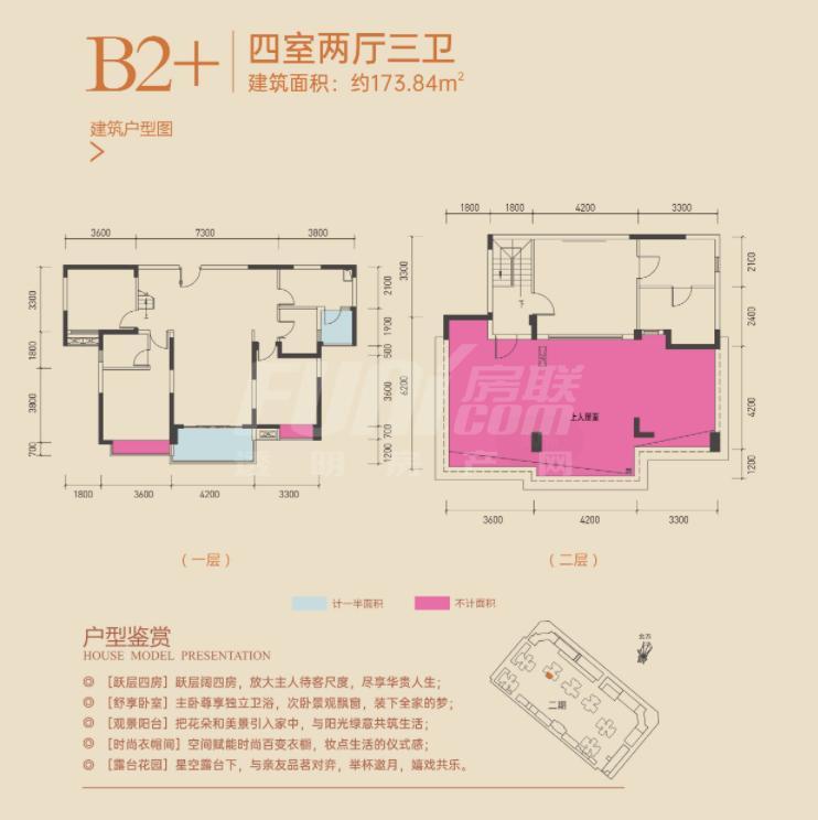 B2+