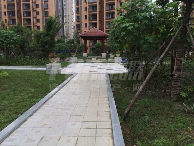 小区实景图