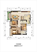 3期C标准层