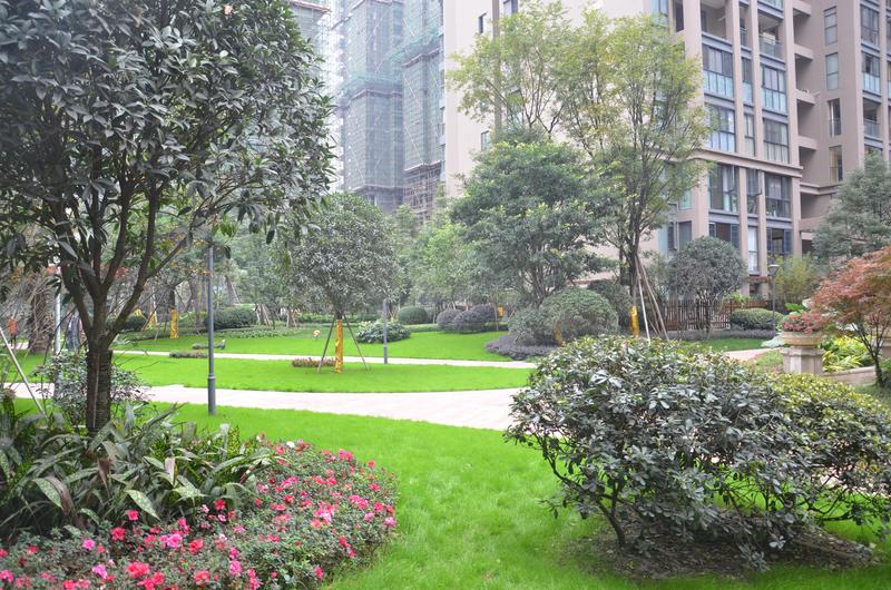 一期小区实景图