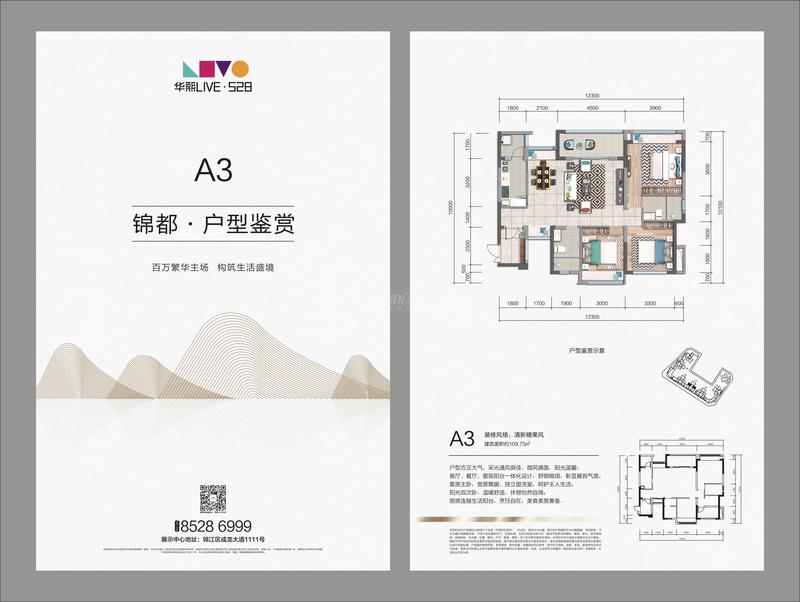 A3