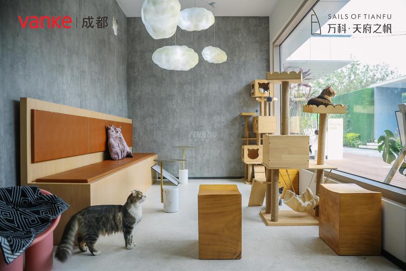 商办生活场景示范区