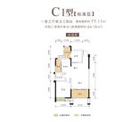C1