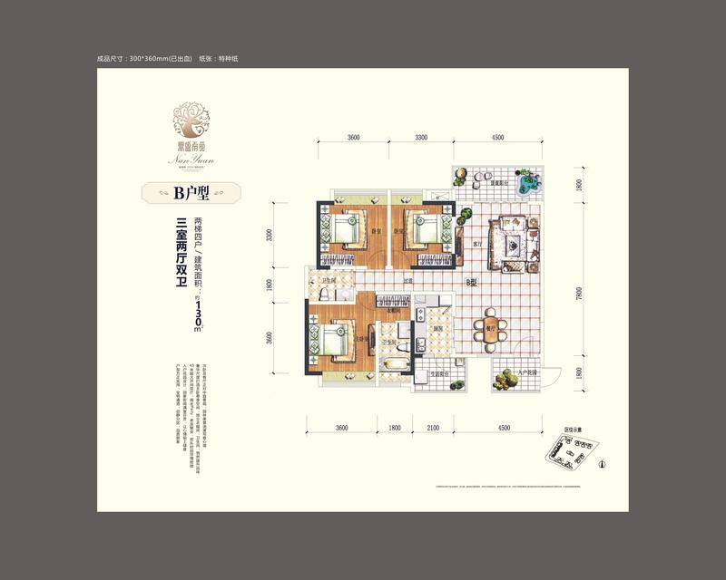 B户型