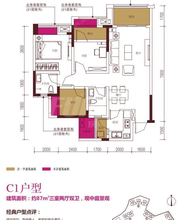 C1户型