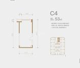 C4
