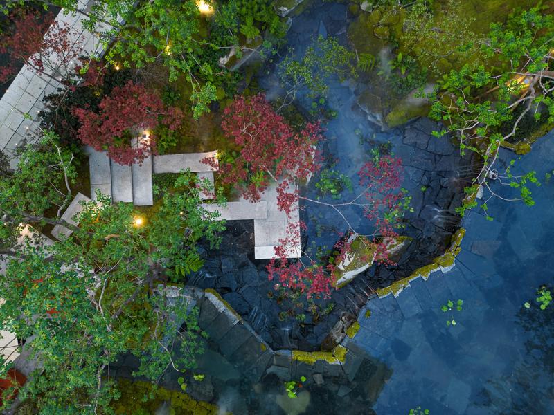 实景图