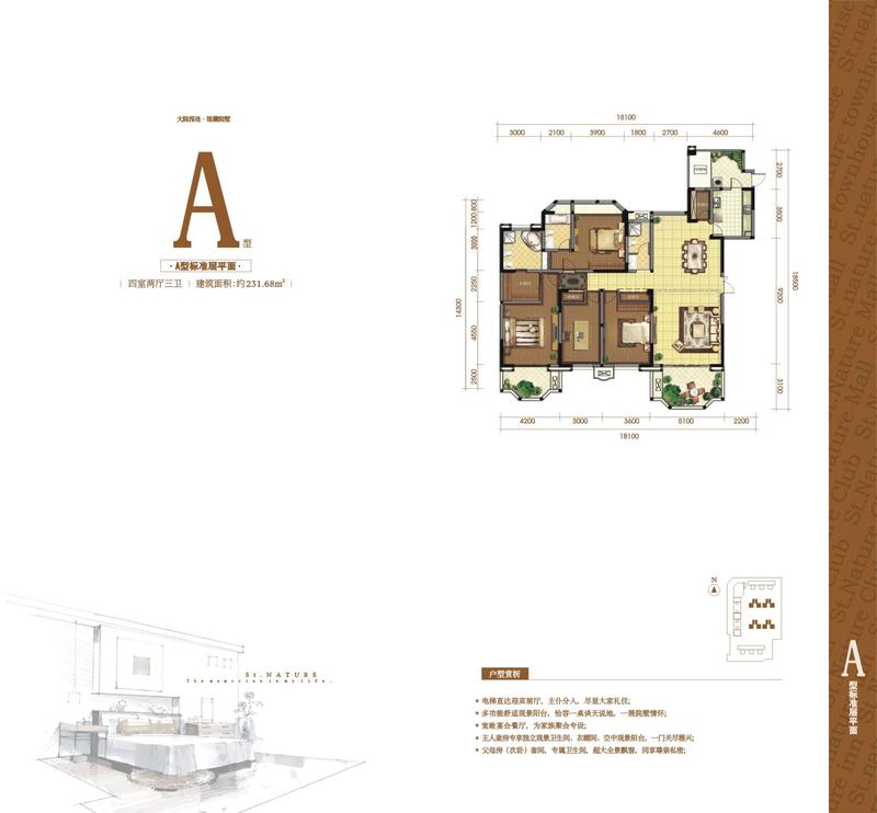 A型