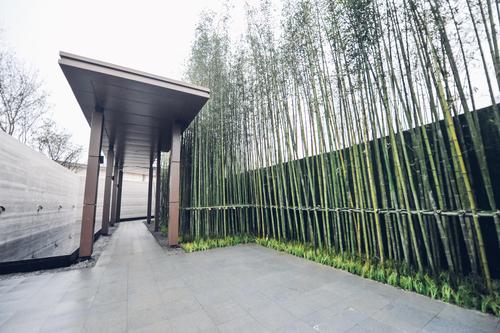 金辉新城半岛云著1期实景图