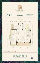 C3-1