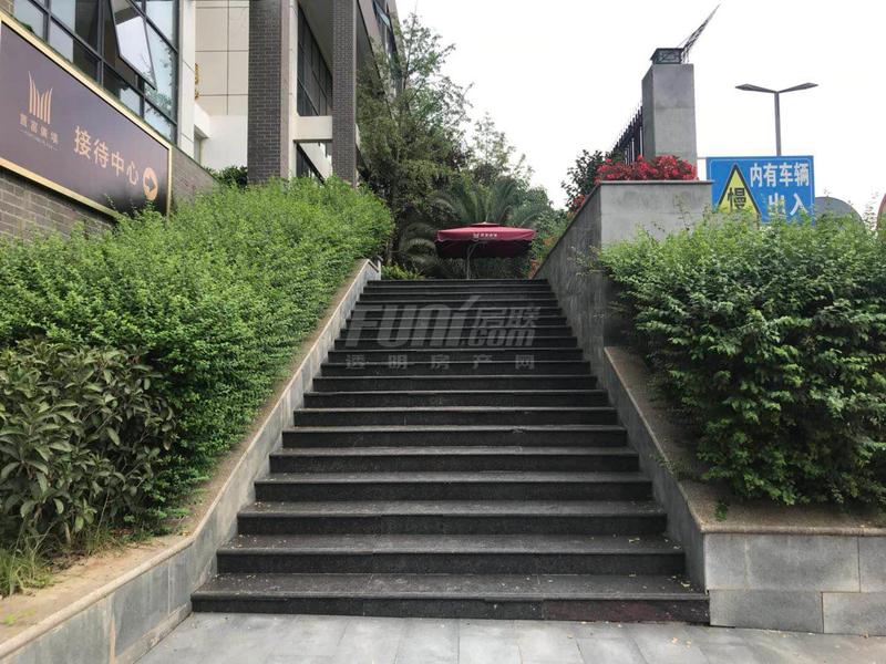 实景图