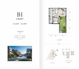 2#楼云溪叠墅B1