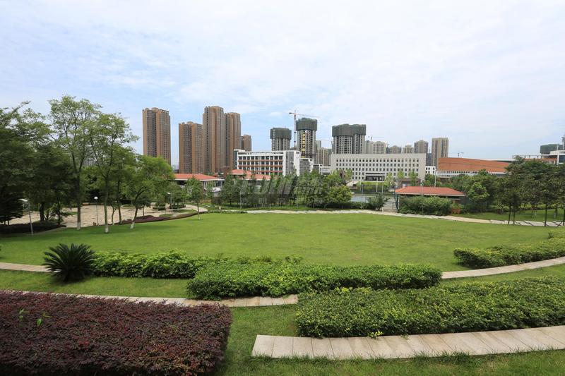 实景图