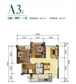 A3