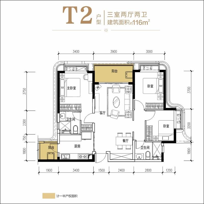 T2