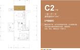 C2