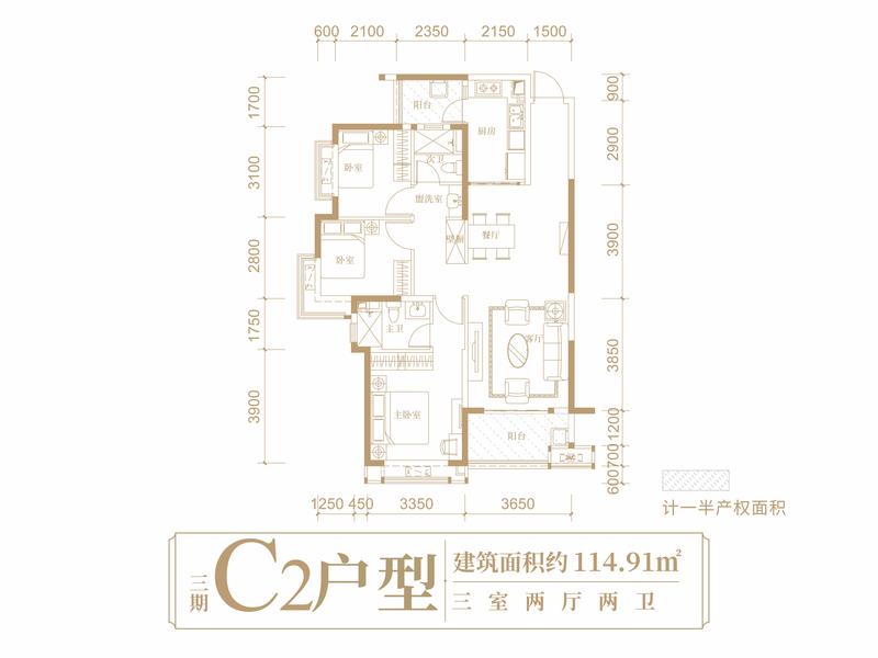 C2