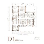 D1