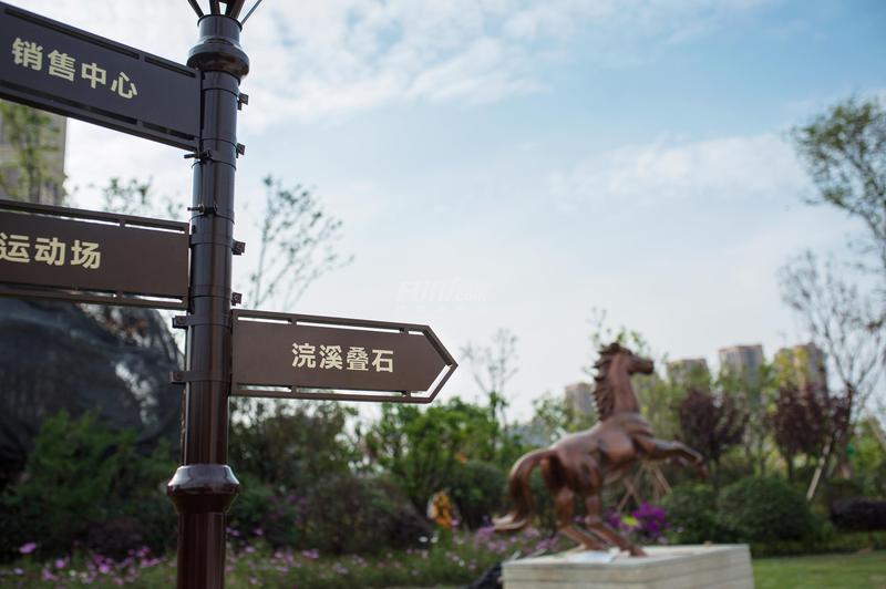 实景图