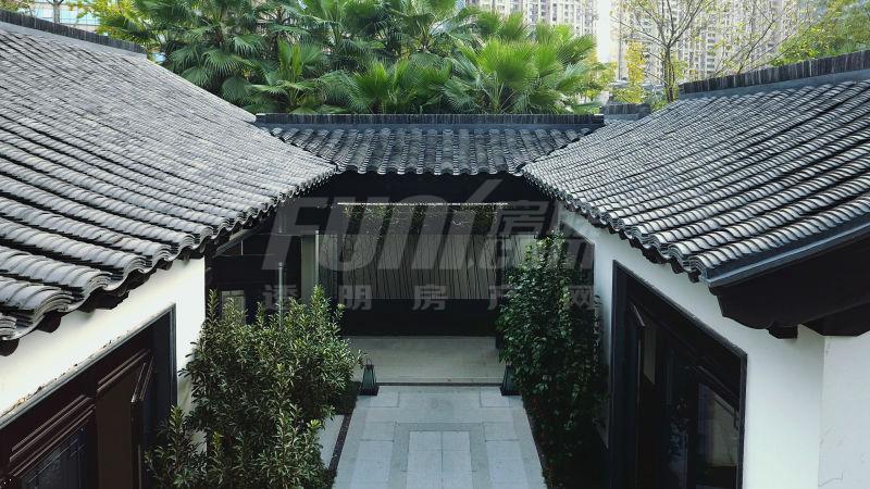 D户型