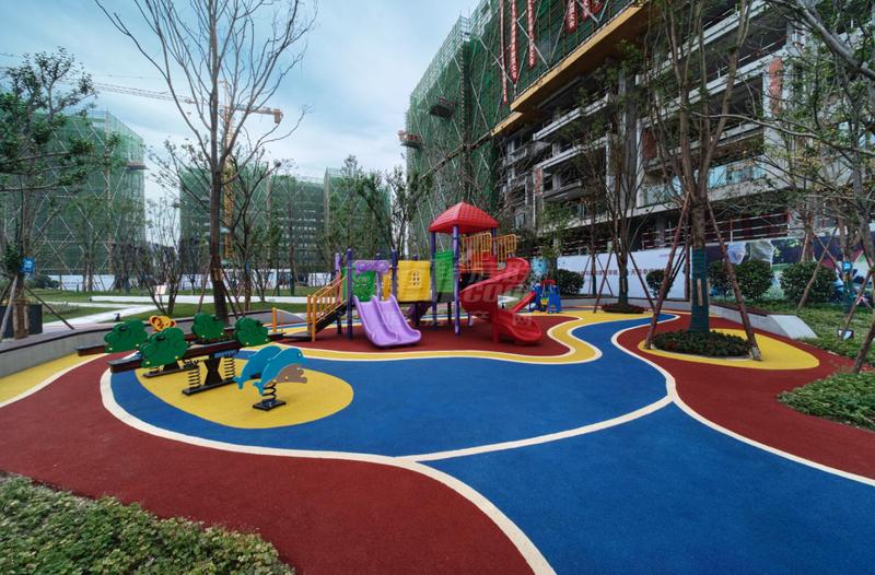 实景图