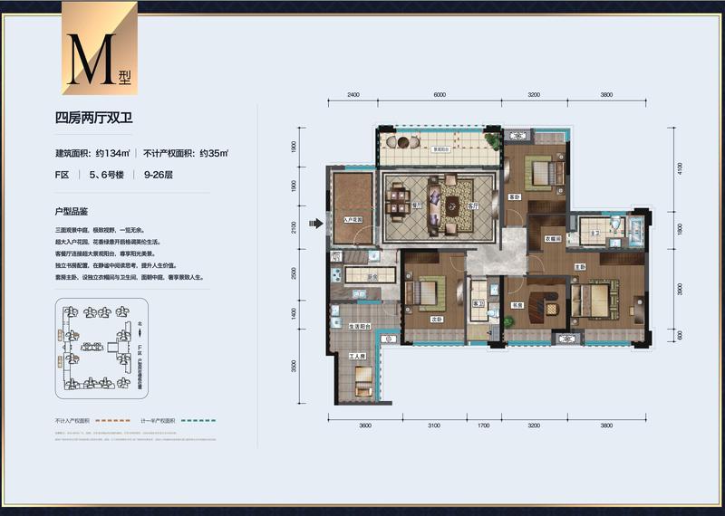 M型-F6