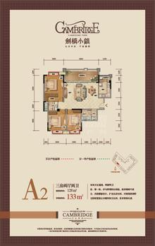 剑桥小镇3室2厅2卫128.00平户型