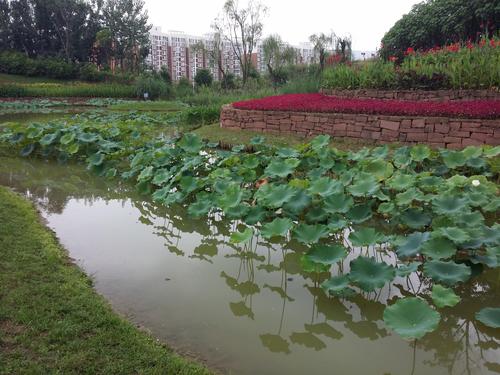 绿林书院实景图