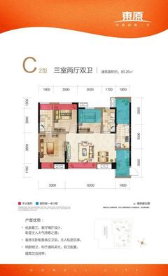 东原西岸3室2厅2卫89.26平户型
