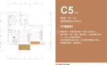 C5
