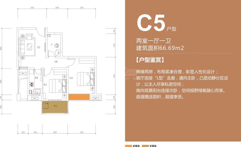 C5