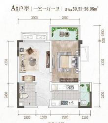 天樾龙门1期1室1厅1卫50.51平户型