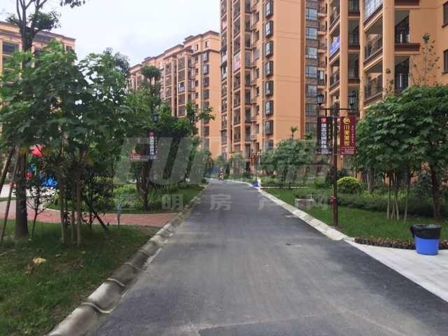 小区实景图