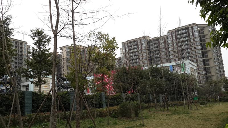 项目实景