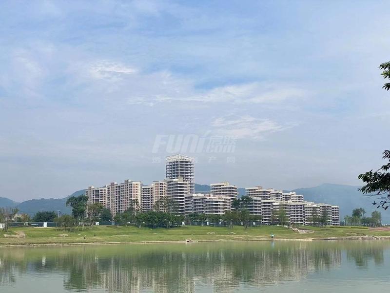 实景图