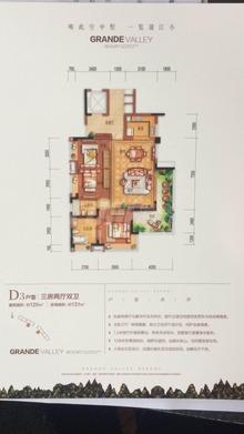 花样年大溪谷2期3室2厅2卫120.00平户型