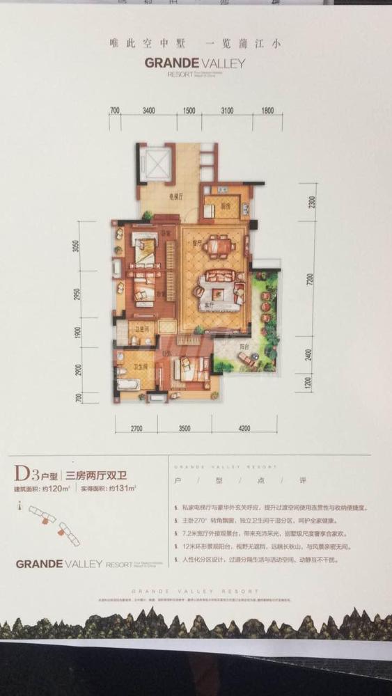 3期D3