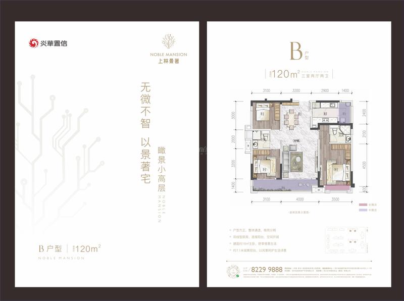 B户型