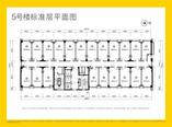 5栋标准层平面图