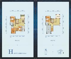 揽江5室3厅4卫225.00平户型