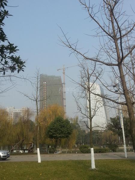 实景