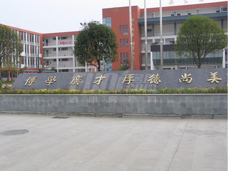 金堂中学实景图（项目斜对面30米）