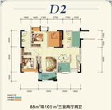 D2