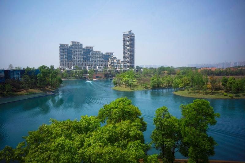 实景图