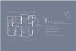 B1