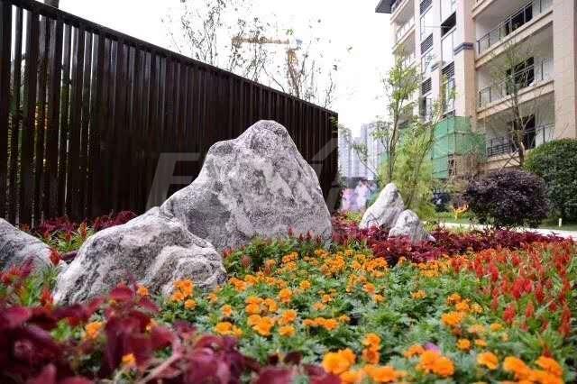 实景图
